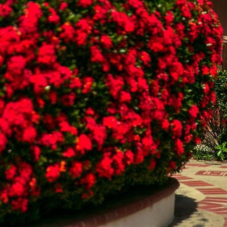Hosteria Tonusco Campestre Санта-Фе-де-Антіокія Екстер'єр фото